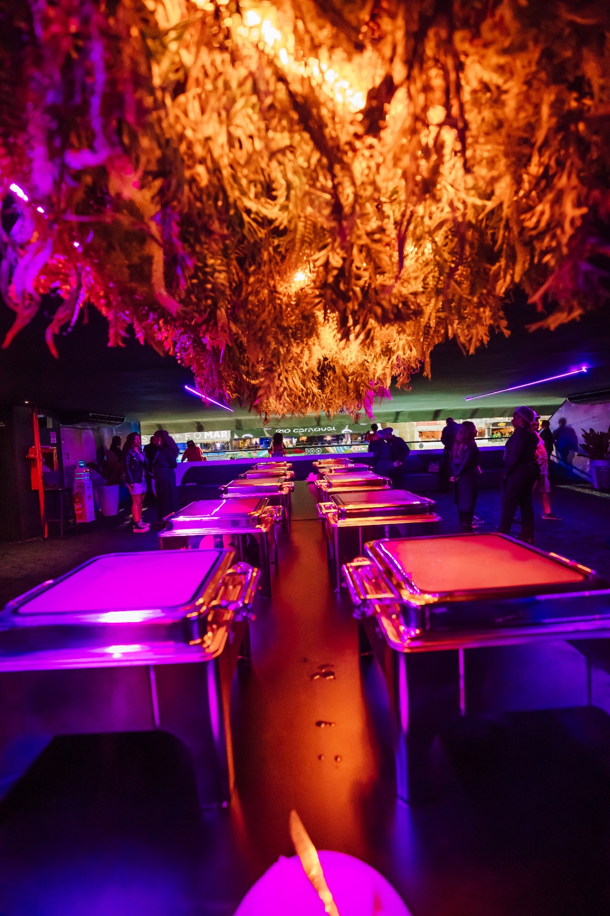 Open Bar / Open Food